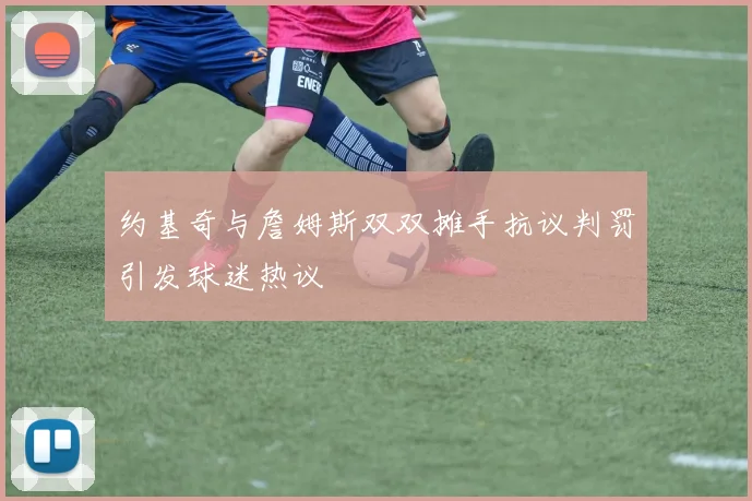 约基奇与詹姆斯双双摊手抗议判罚引发球迷热议