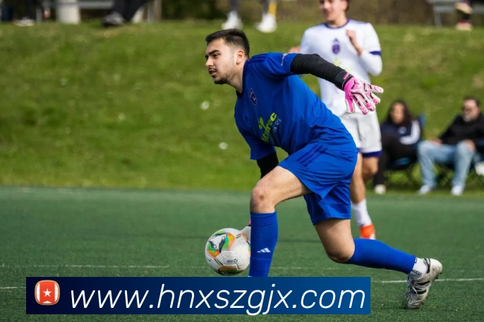 星空官网网页版入口平台生态图